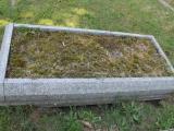 image of grave number 519016
